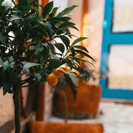 Ziu Anacletu * Villaputzu