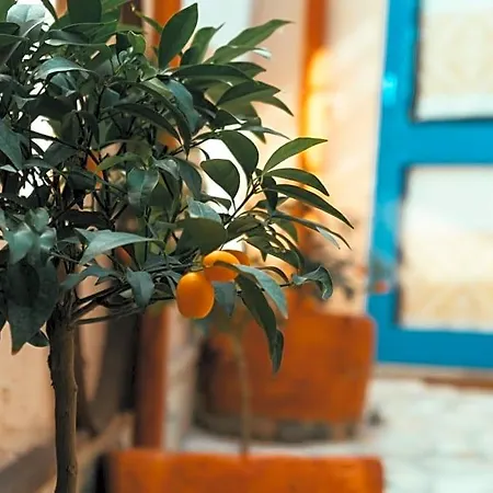 B&B Ziu Anacletu *